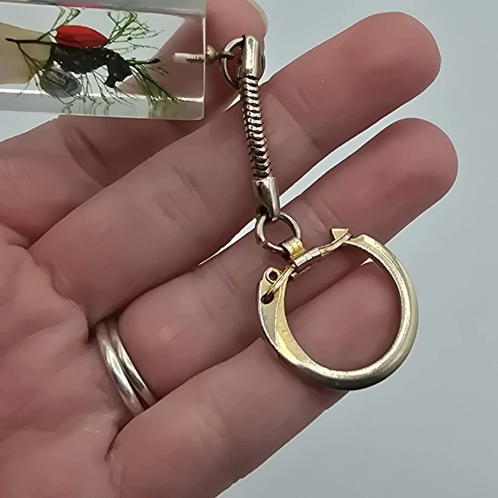 VTG Marineland Florida Seahorse Shell Clear Acrylic Resin Metal Keychain 4 Sided